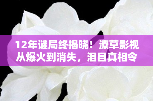 12年谜局终揭晓!潦草影视从爆火到消失,泪目真相令人唏嘘 12年谜局终揭晓!潦草影视从爆火到消失,泪目真相令人唏嘘