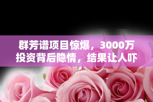 群芳谱项目惊爆,3000万投资背后隐情,结果让人吓一跳! 群芳谱项目惊爆,3000万投资背后隐情,结果让人吓一跳!