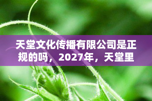天堂文化传播有限公司是正规的吗，2027年，天堂里那句别走成伏笔，回忆翻涌鼻子一酸