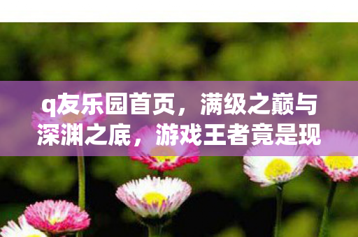 q友乐园首页,满级之巅与深渊之底,游戏王者竟是现实废物的灵魂悖论 q友乐园首页,满级之巅与深渊之底,游戏王者竟是现实废物的灵魂悖论