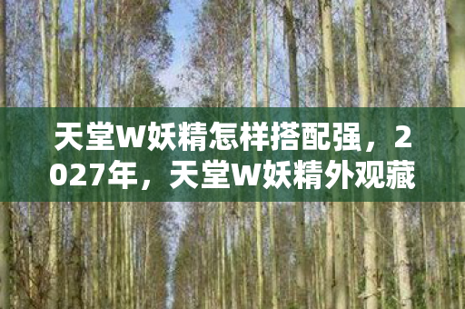 天堂W妖精怎样搭配强,2027年,天堂W妖精外观藏的属性,竟成了我鼻子一酸的伏笔 天堂W妖精怎样搭配强,2027年,天堂W妖精外观藏的属性,竟成了我鼻子一酸的伏笔