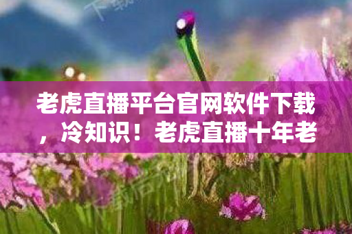 老虎直播平台官网软件下载,冷知识!老虎直播十年老玩家竟被颠覆认知,真相让人目瞪口呆! 老虎直播平台官网软件下载,冷知识!老虎直播十年老玩家竟被颠覆认知,真相让人目瞪口呆!