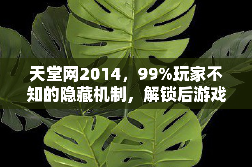 天堂网2014,99%玩家不知的隐藏机制,解锁后游戏体验天翻地覆! 天堂网2014,99%玩家不知的隐藏机制,解锁后游戏体验天翻地覆!