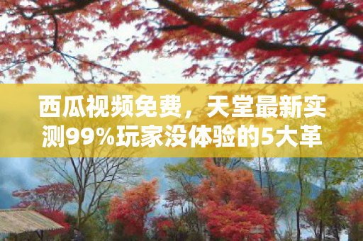 西瓜视频免费,天堂最新实测99%玩家没体验的5大革新!错过这波血亏三年 西瓜视频免费,天堂最新实测99%玩家没体验的5大革新!错过这波血亏三年