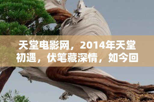 天堂电影网,2014年天堂初遇,伏笔藏深情,如今回首,鼻子一酸忆往昔 天堂电影网,2014年天堂初遇,伏笔藏深情,如今回首,鼻子一酸忆往昔