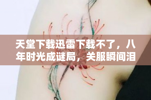 天堂下载迅雷下载不了,八年时光成谜局,关服瞬间泪目,天堂下载的迅雷记忆终成空 天堂下载迅雷下载不了,八年时光成谜局,关服瞬间泪目,天堂下载的迅雷记忆终成空