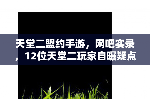 天堂二盟约手游,网吧实录,12位天堂二玩家自曝疑点,那些绷不住的深夜忏悔 天堂二盟约手游,网吧实录,12位天堂二玩家自曝疑点,那些绷不住的深夜忏悔