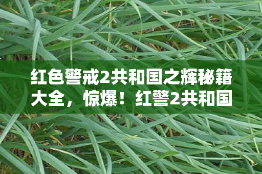 红色警戒2共和国之辉秘籍大全,惊爆!红警2共和国之辉藏500万隐情,玩法被砍真相吓你一跳! 红色警戒2共和国之辉秘籍大全,惊爆!红警2共和国之辉藏500万隐情,玩法被砍真相吓你一跳!