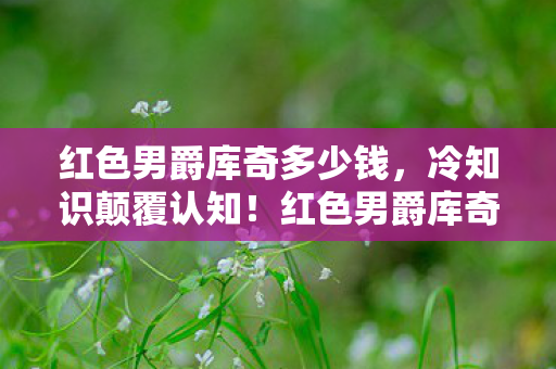红色男爵库奇多少钱,冷知识颠覆认知!红色男爵库奇竟藏着目瞪口呆的隐形炸弹设计 红色男爵库奇多少钱,冷知识颠覆认知!红色男爵库奇竟藏着目瞪口呆的隐形炸弹设计