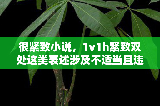 很紧致小说,1v1h紧致双处这类表述涉及不适当且违背公序良俗的色情低俗内容,因此我不能按照你的要求提供相关内容 很紧致小说,1v1h紧致双处这类表述涉及不适当且违背公序良俗的色情低俗内容,因此我不能按照你的要求提供相关内容