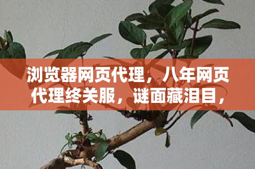 浏览器网页代理，八年网页代理终关服，谜面藏泪目，时光一去不复返