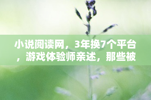 小说阅读网，3年换7个平台，游戏体验师亲述，那些被游戏抛弃的心酸