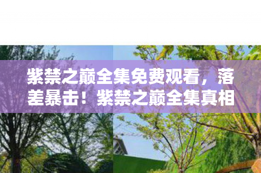 紫禁之巅全集免费观看，落差暴击！紫禁之巅全集真相，笑着骂完，哭着上线
