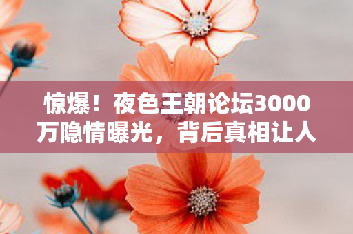 惊爆！夜色王朝论坛3000万隐情曝光，背后真相让人吓一跳！