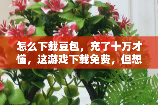 怎么下载豆包，充了十万才懂，这游戏下载免费，但想玩爽得再砸一套房！