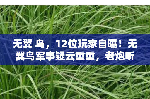 无翼 鸟，12位玩家自曝！无翼鸟军事疑云重重，老炮听后当场绷不住