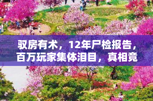 驭房有术,12年尸检报告,百万玩家集体泪目,真相竟在死亡倒计时里 驭房有术,12年尸检报告,百万玩家集体泪目,真相竟在死亡倒计时里