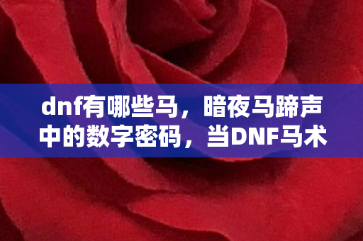dnf有哪些马，暗夜马蹄声中的数字密码，当DNF马术悬案撞上毛骨悚然真相