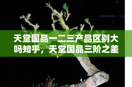 天堂国品一二三产品区别大吗知乎,天堂国品三阶之差,自由选择竟是命运枷锁的终极悖论? 天堂国品一二三产品区别大吗知乎,天堂国品三阶之差,自由选择竟是命运枷锁的终极悖论?