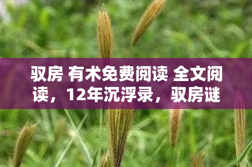 驭房 有术免费阅读 全文阅读,12年沉浮录,驭房谜局终章,泪目见证游戏世界的沧海桑田 驭房 有术免费阅读 全文阅读,12年沉浮录,驭房谜局终章,泪目见证游戏世界的沧海桑田