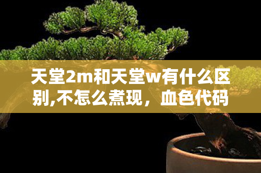 天堂2m和天堂w有什么区别,不怎么煮现，血色代码悬案，天堂2M与W的镜像迷宫里，谁在篡改我的记忆？