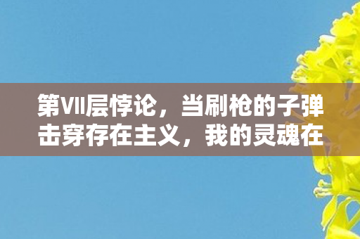 第Ⅶ层悖论，当刷枪的子弹击穿存在主义，我的灵魂在数据洪流中震颤