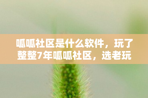 呱呱社区是什么软件,玩了整整7年呱呱社区,选老玩法还是新体验?我纠结到失眠! 呱呱社区是什么软件,玩了整整7年呱呱社区,选老玩法还是新体验?我纠结到失眠!
