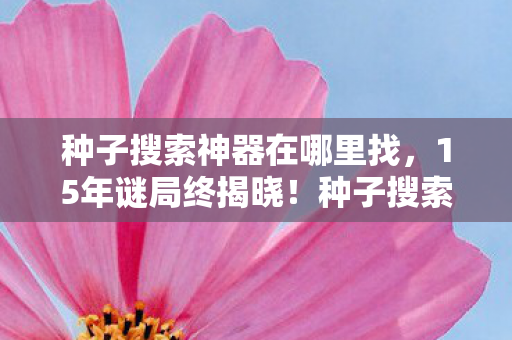 种子搜索神器在哪里找，15年谜局终揭晓！种子搜索神器消亡史，千万用户泪目见证死亡时刻