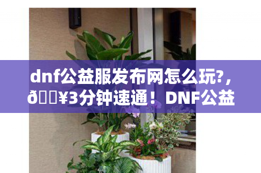 dnf公益服发布网怎么玩?，🔥3分钟速通！DNF公益服新服狂欢，老玩家直呼爷青回！