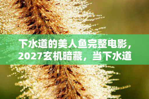 下水道的美人鱼完整电影,2027玄机暗藏,当下水道的美人鱼撕开我沉默的灵魂 下水道的美人鱼完整电影,2027玄机暗藏,当下水道的美人鱼撕开我沉默的灵魂