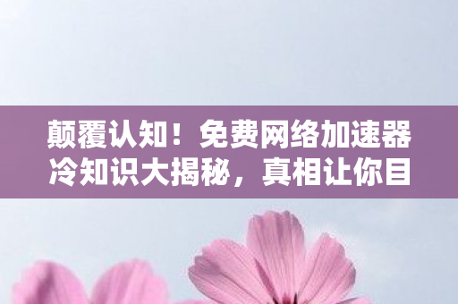 颠覆认知！免费网络加速器冷知识大揭秘，真相让你目瞪口呆！