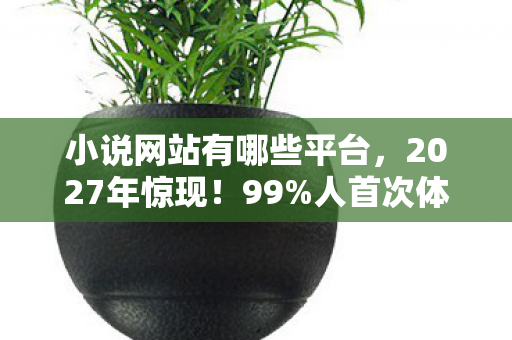 小说网站有哪些平台，2027年惊现！99%人首次体验后，灵魂都被这网站炸飞了！