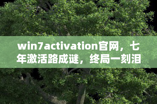 win7activation官网,七年激活路成谜,终局一刻泪目,那场永不重启的数字狂欢 win7activation官网,七年激活路成谜,终局一刻泪目,那场永不重启的数字狂欢