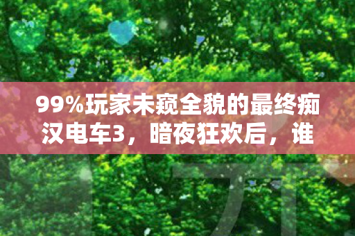 99%玩家未窥全貌的最终痴汉电车3，暗夜狂欢后，谁在为孤独买单？