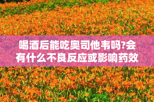 喝酒后能吃奥司他韦吗?会有什么不良反应或影响药效吗?,12位玩家实测,酒后吞奥司他韦,这波操作是自救还是作死?绷不住了! 喝酒后能吃奥司他韦吗?会有什么不良反应或影响药效吗?,12位玩家实测,酒后吞奥司他韦,这波操作是自救还是作死?绷不住了!
