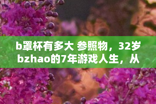 b罩杯有多大 参照物,32岁bzhao的7年游戏人生,从端游大神到手游菜鸟的辛酸转身 b罩杯有多大 参照物,32岁bzhao的7年游戏人生,从端游大神到手游菜鸟的辛酸转身