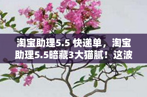淘宝助理5.5 快递单,淘宝助理5.5暗藏3大猫腻!这波操作让老卖家集体上头 淘宝助理5.5 快递单,淘宝助理5.5暗藏3大猫腻!这波操作让老卖家集体上头