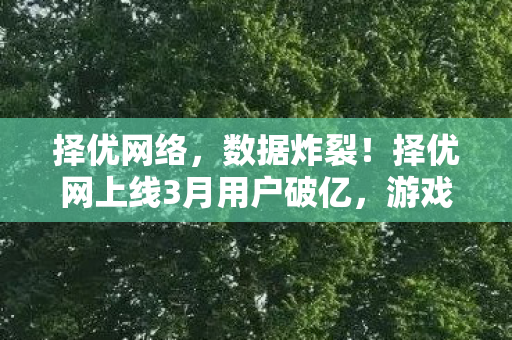 择优网络，数据炸裂！择优网上线3月用户破亿，游戏圈久违的感动竟藏暴利密码