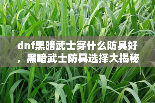 dnf黑暗武士穿什么防具好，黑暗武士防具选择大揭秘！3套心得+避坑指南，让你少走弯路！