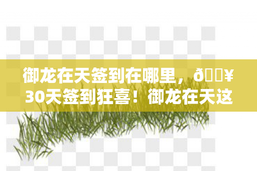 御龙在天签到在哪里,🔥30天签到狂喜!御龙在天这波福利让我爽到飞起! 御龙在天签到在哪里,🔥30天签到狂喜!御龙在天这波福利让我爽到飞起!