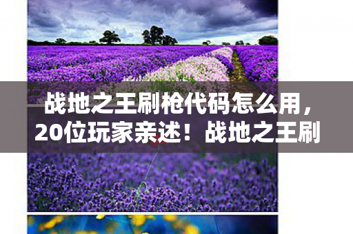 战地之王刷枪代码怎么用,20位玩家亲述!战地之王刷枪代码疑云,真相让人绷不住 战地之王刷枪代码怎么用,20位玩家亲述!战地之王刷枪代码疑云,真相让人绷不住