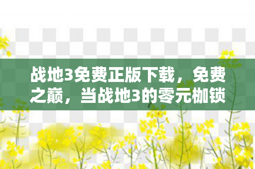 战地3免费正版下载，免费之巅，当战地3的零元枷锁锁住灵魂的终极自由