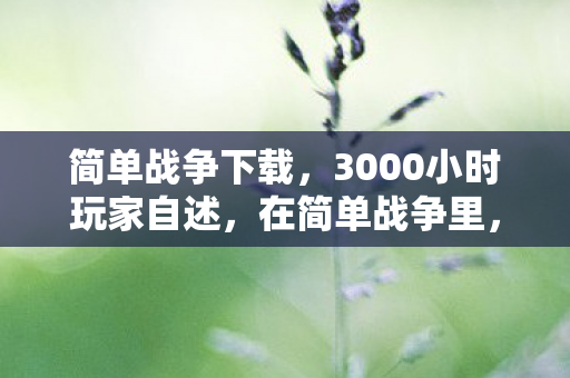 简单战争下载,3000小时玩家自述,在简单战争里,我竟成了被时代抛弃的弃儿? 简单战争下载,3000小时玩家自述,在简单战争里,我竟成了被时代抛弃的弃儿?