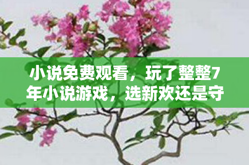小说免费观看,玩了整整7年小说游戏,选新欢还是守旧爱?老玩家心声大揭秘! 小说免费观看,玩了整整7年小说游戏,选新欢还是守旧爱?老玩家心声大揭秘!