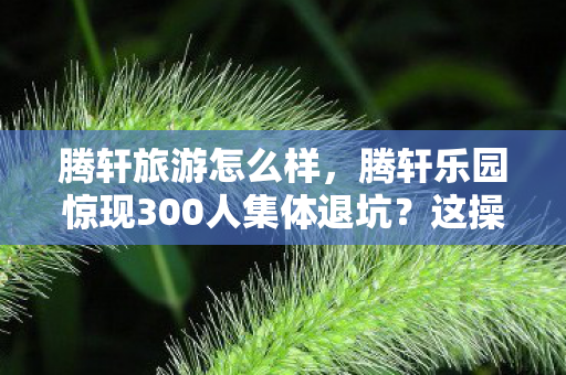 腾轩旅游怎么样,腾轩乐园惊现300人集体退坑?这操作太迷,老炮我当场绷不住! 腾轩旅游怎么样,腾轩乐园惊现300人集体退坑?这操作太迷,老炮我当场绷不住!