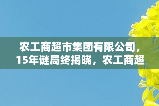 农工商超市集团有限公司,15年谜局终揭晓,农工商超市集团游戏宇宙的泪目谢幕 农工商超市集团有限公司,15年谜局终揭晓,农工商超市集团游戏宇宙的泪目谢幕