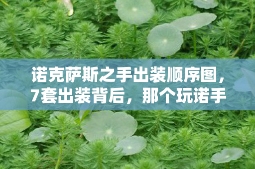 诺克萨斯之手出装顺序图,7套出装背后,那个玩诺手的男人为何在深夜默默卸载游戏? 诺克萨斯之手出装顺序图,7套出装背后,那个玩诺手的男人为何在深夜默默卸载游戏?
