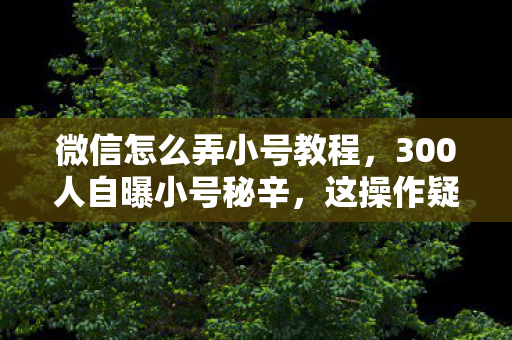 微信怎么弄小号教程,300人自曝小号秘辛,这操作疑点重重,老炮我当场绷不住! 微信怎么弄小号教程,300人自曝小号秘辛,这操作疑点重重,老炮我当场绷不住!