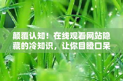 颠覆认知!在线观看网站隐藏的冷知识,让你目瞪口呆! 颠覆认知!在线观看网站隐藏的冷知识,让你目瞪口呆!
