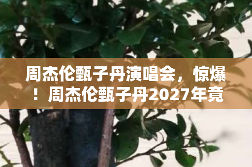 周杰伦甄子丹演唱会,惊爆!周杰伦甄子丹2027年竟要合体搞这大事?悬念拉满! 周杰伦甄子丹演唱会,惊爆!周杰伦甄子丹2027年竟要合体搞这大事?悬念拉满!